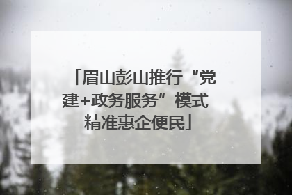 眉山彭山推行“党建+政务服务”模式 精准惠企便民