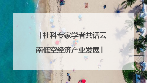 社科专家学者共话云南低空经济产业发展