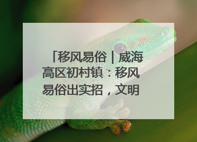 移风易俗｜威海高区初村镇：移风易俗出实招，文明新风拂人心