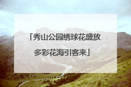秀山公园绣球花盛放 多彩花海引客来