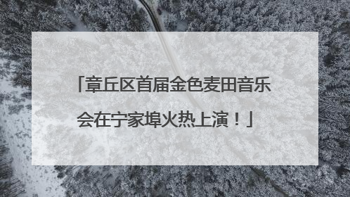 章丘区首届金色麦田音乐会在宁家埠火热上演！