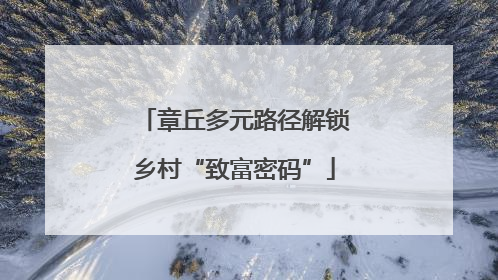章丘多元路径解锁乡村“致富密码”