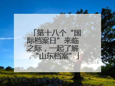 第十八个“国际档案日”来临之际，一起了解“山东档案”