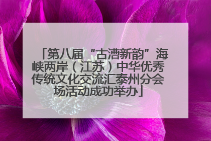 第八届“古漕新韵”海峡两岸（江苏）中华优秀传统文化交流汇泰州分会场活动成功举办