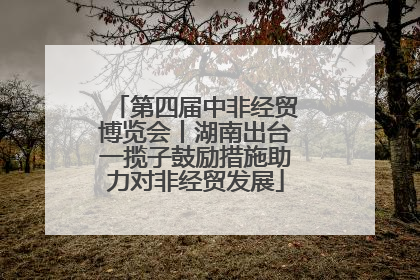 第四届中非经贸博览会丨湖南出台一揽子鼓励措施助力对非经贸发展