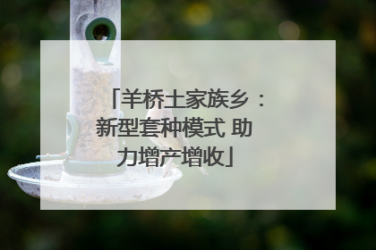 羊桥土家族乡：新型套种模式 助力增产增收