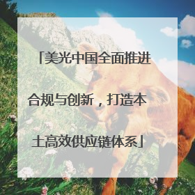 美光中国全面推进合规与创新，打造本土高效供应链体系