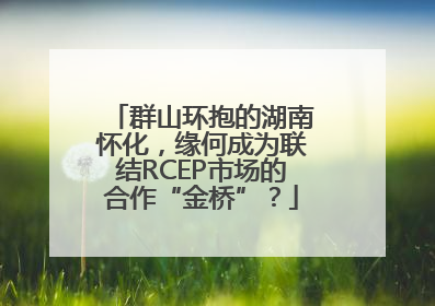 群山环抱的湖南怀化，缘何成为联结RCEP市场的合作“金桥”？
