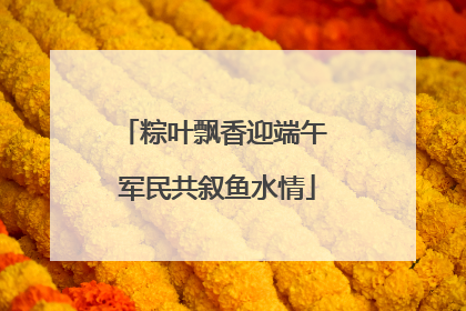 粽叶飘香迎端午 军民共叙鱼水情