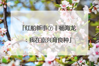 红船新事⑦丨杨海龙：我在嘉兴育良种
