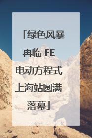 绿色风暴再临 FE电动方程式上海站圆满落幕