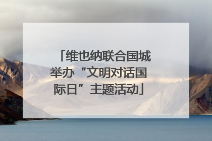 维也纳联合国城举办“文明对话国际日”主题活动