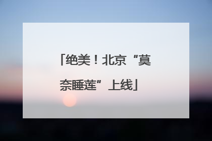 绝美！北京“莫奈睡莲”上线