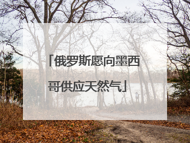 俄罗斯愿向墨西哥供应天然气
