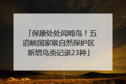 保康处处闻啼鸟！五道峡国家级自然保护区新增鸟类记录23种
