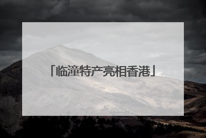 临潼特产亮相香港