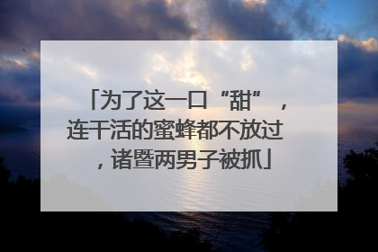 为了这一口“甜”，连干活的蜜蜂都不放过，诸暨两男子被抓