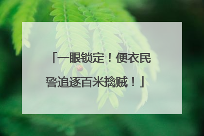 一眼锁定！便衣民警追逐百米擒贼！