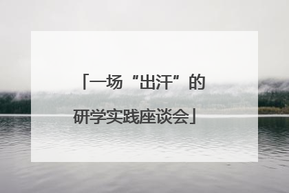 一场“出汗”的研学实践座谈会