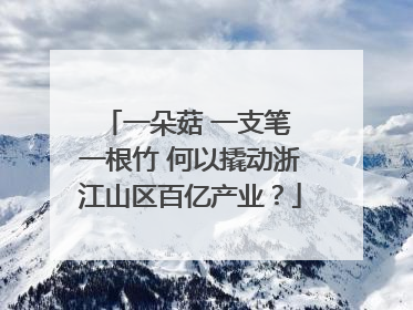 一朵菇 一支笔 一根竹 何以撬动浙江山区百亿产业？
