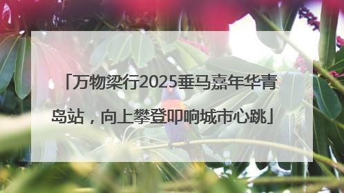 万物梁行2025垂马嘉年华青岛站，向上攀登叩响城市心跳