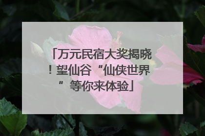 万元民宿大奖揭晓！望仙谷“仙侠世界”等你来体验