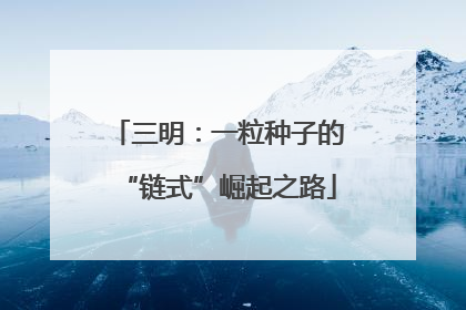 三明：一粒种子的“链式”崛起之路