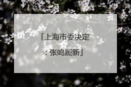 上海市委决定：张鸣履新