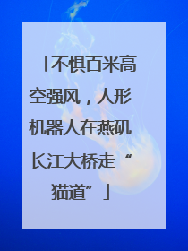 不惧百米高空强风，人形机器人在燕矶长江大桥走“猫道”