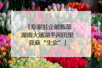 专家驻企破瓶颈 湖南大通湖冬闲田里亚麻“生金”