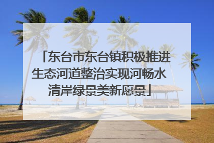 东台市东台镇积极推进生态河道整治实现河畅水清岸绿景美新愿景