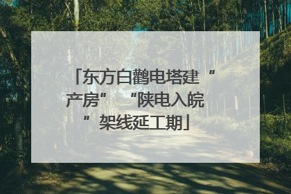 东方白鹳电塔建“产房” “陕电入皖”架线延工期