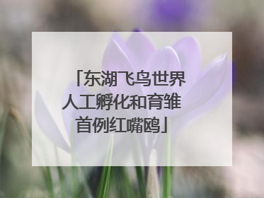 东湖飞鸟世界人工孵化和育雏首例红嘴鸥