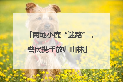 两地小鹿“迷路”，警民携手放归山林