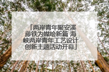 两岸青年聚安溪 藤铁为媒绘新篇 海峡两岸青年工艺设计创新主题活动开幕