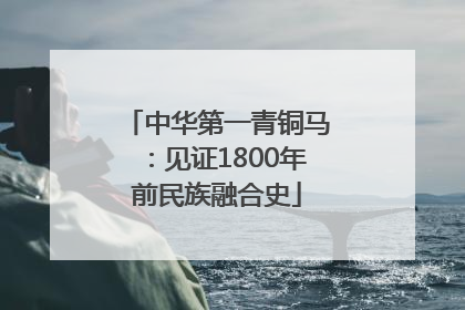中华第一青铜马：见证1800年前民族融合史