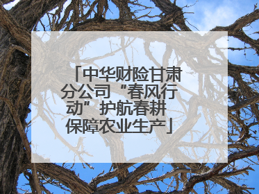 中华财险甘肃分公司“春风行动”护航春耕 保障农业生产