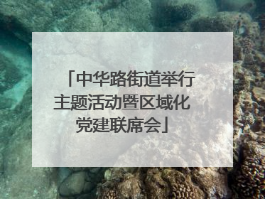 中华路街道举行主题活动暨区域化党建联席会