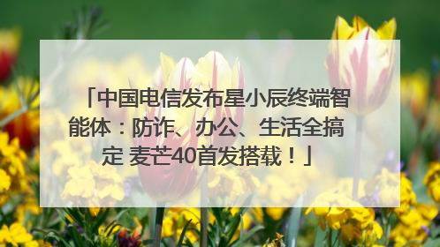中国电信发布星小辰终端智能体：防诈、办公、生活全搞定 麦芒40首发搭载！