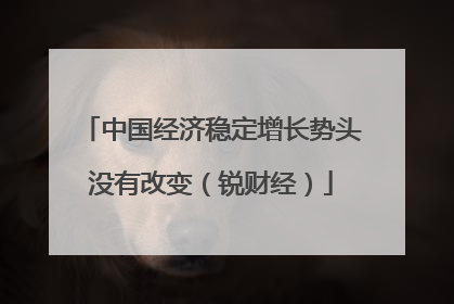 中国经济稳定增长势头没有改变（锐财经）