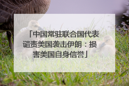 中国常驻联合国代表谴责美国袭击伊朗：损害美国自身信誉