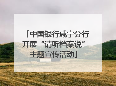 中国银行咸宁分行开展“请听档案说”主题宣传活动
