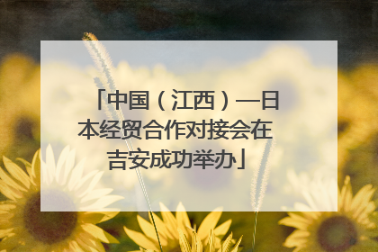 中国（江西）—日本经贸合作对接会在吉安成功举办