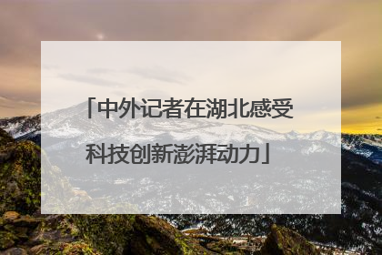 中外记者在湖北感受科技创新澎湃动力
