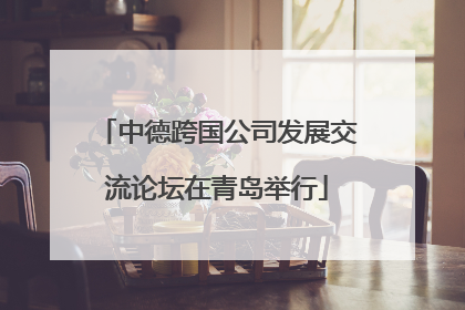 中德跨国公司发展交流论坛在青岛举行
