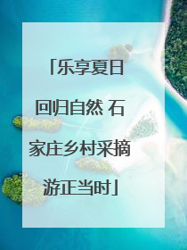 乐享夏日 回归自然 石家庄乡村采摘游正当时