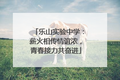 乐山实验中学：薪火相传情谊浓，青春接力共奋进