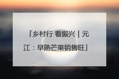 乡村行 看振兴｜元江：早熟芒果销售旺