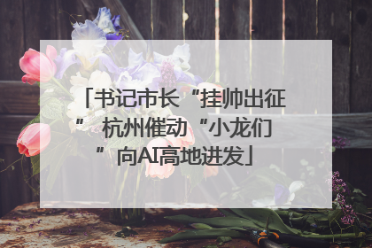 书记市长“挂帅出征” 杭州催动“小龙们”向AI高地进发