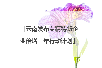 云南发布专精特新企业倍增三年行动计划